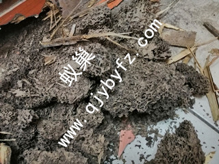 QQDƬ20181225181844.jpg